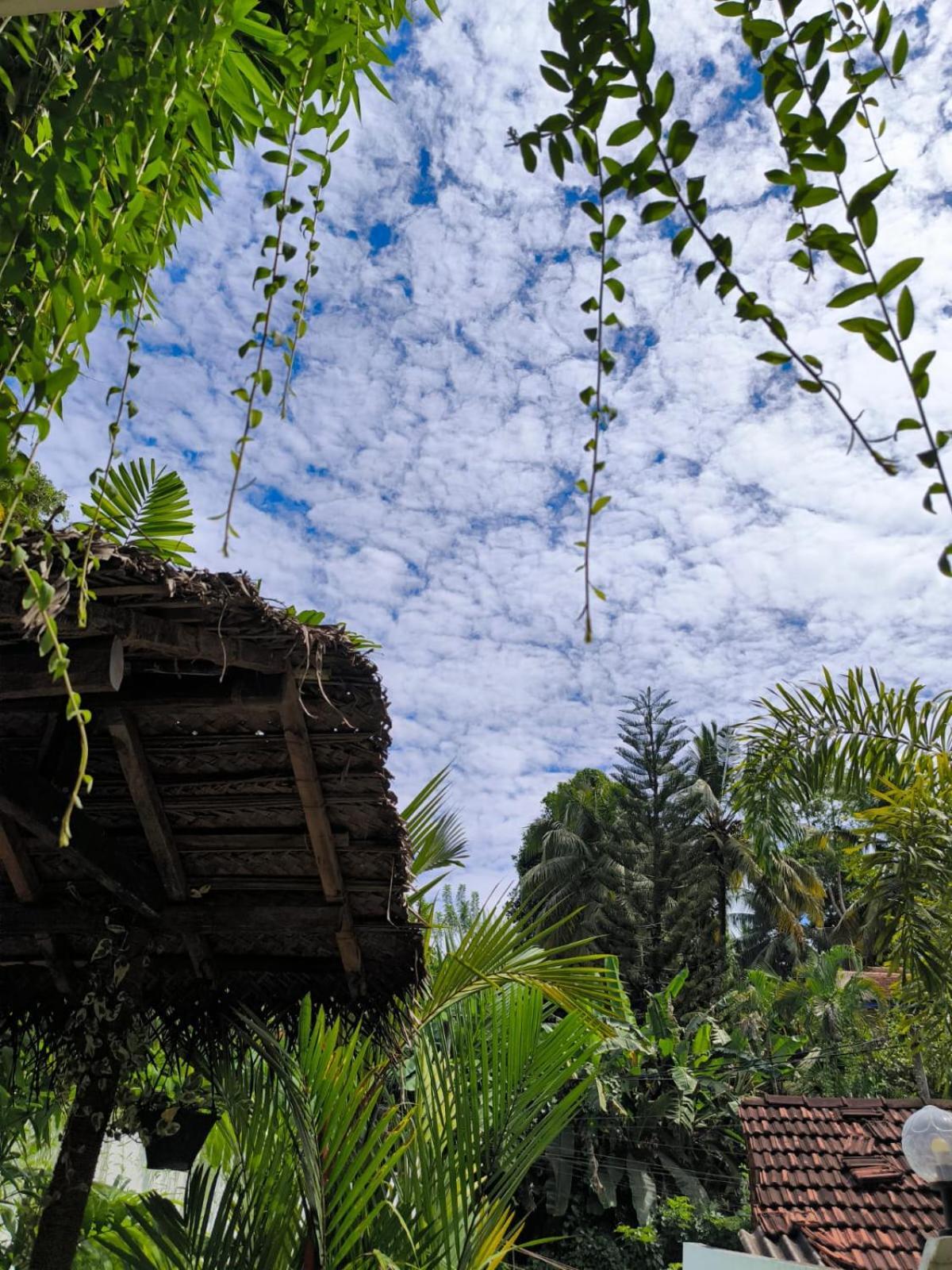 Hidden Villa Hikkaduwa Buitenkant foto